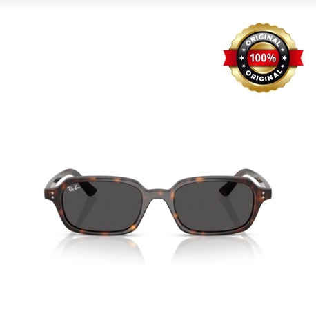 Ray Ban Rb 4455 1359/8749 52