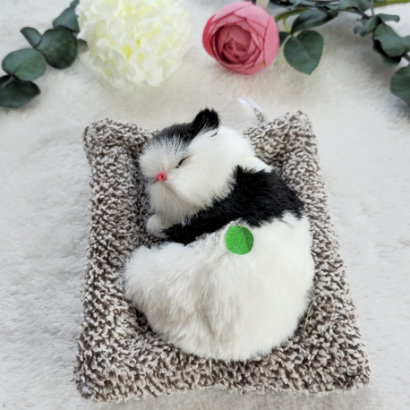 Sesli Uyuyan Kedi 