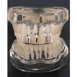 2 Adet Grillz Set