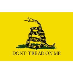 Dont Tread On Me Bayrak