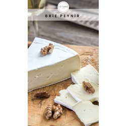 Brie Peyniri