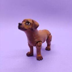 Sevgi Dolu Labrador Köpek 
