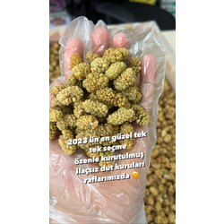 YENİ SEZON DUT KURUSU NET 1 KG SEÇME ÖZEL 