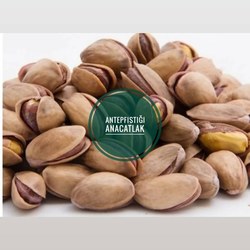 Antep Fıstığı 500 gr