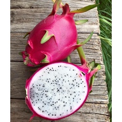 Ejder Meyvesi (Pitahaya)  (1 KG)