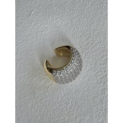 Zirkon Taşlı 2 Renk Kıkırdak Küpe 
