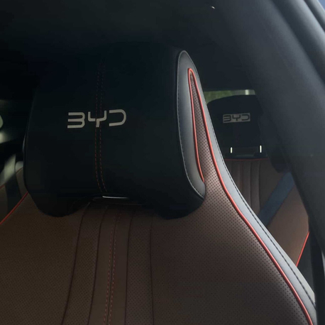 BYD LOGO