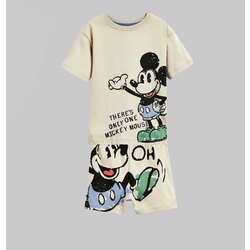 Mickey Mouse Krem Takım 