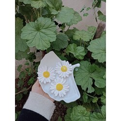 Papatya Magnet
