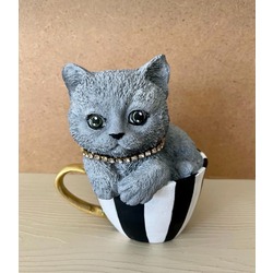 Gri Fincan kedi Biblosu