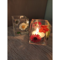 Daisy mumluk 