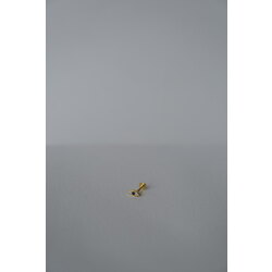 Göz Küpe Piercing 