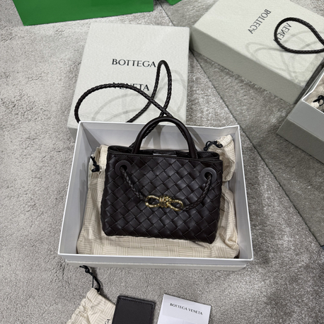 Bottega veneta mini andiamo acı kahve