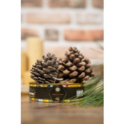 Mimaras Natural Çam Balı Teneke Ambalaj Net 850gr