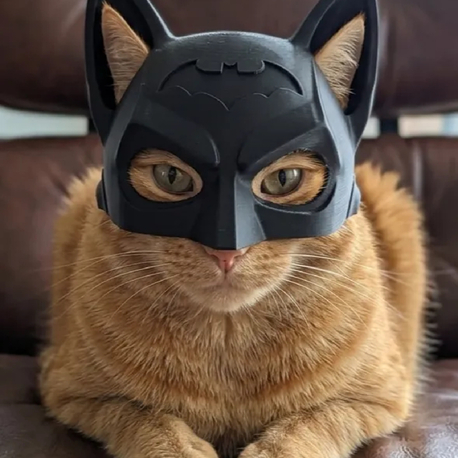  Kedi Süper Kahraman Maskesi