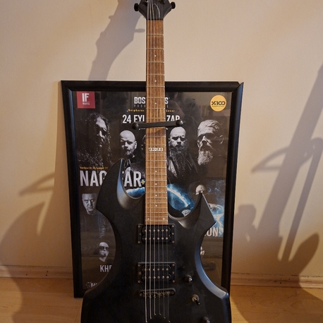 Guitar / LTD