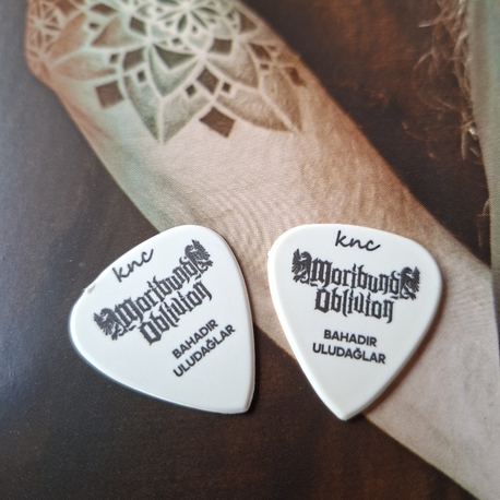 Guitar Pick