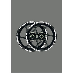 DRİFT L TIRTIL JANT STICKER