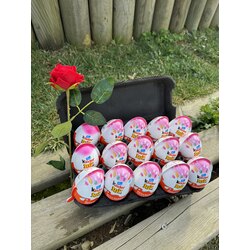 15 Lİ Kinder SÜRPRİZ YUMURTA KOLİSİ