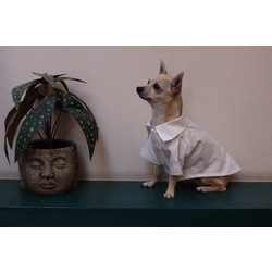 Whitecollar Shirt