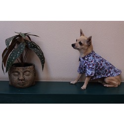 Cuba Shirt