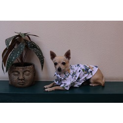 Blossom Shirt