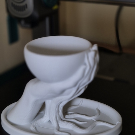 Doğanın Ellerinde Saksı