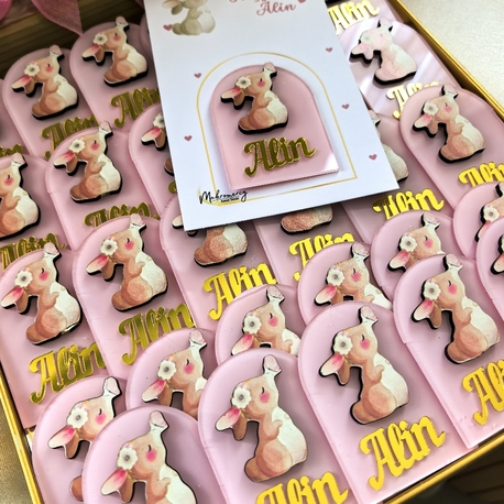 karışık hobi set