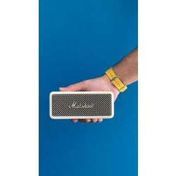Marshall Speaker Box