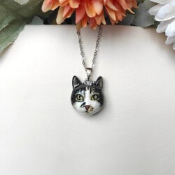 Pet kolye