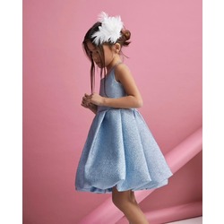 Bluebill Dress