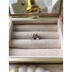 Kedili Gökkuşağı Pandora Charm