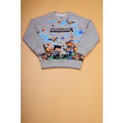 Minecraft baskılı sweatshirt 