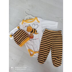 ari çıtçıtlı badi 