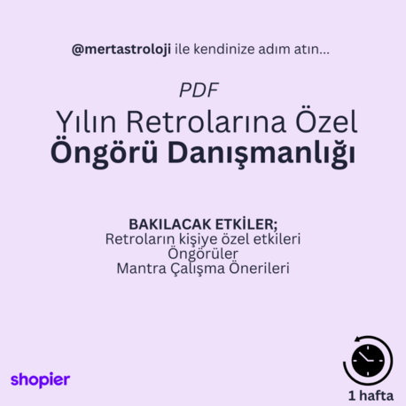 Retrolara Özel Öngörü Danışmanlığı (PDF)