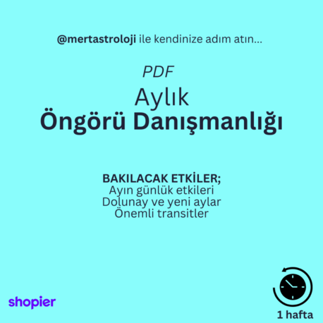 Aylık Öngörü Danışmanlığı (PDF)