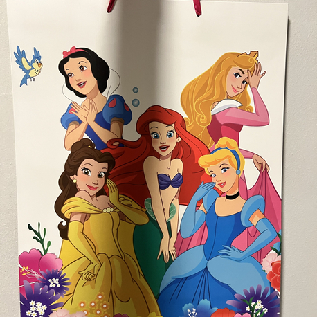 Disney Prensesler Hediye Poşeti