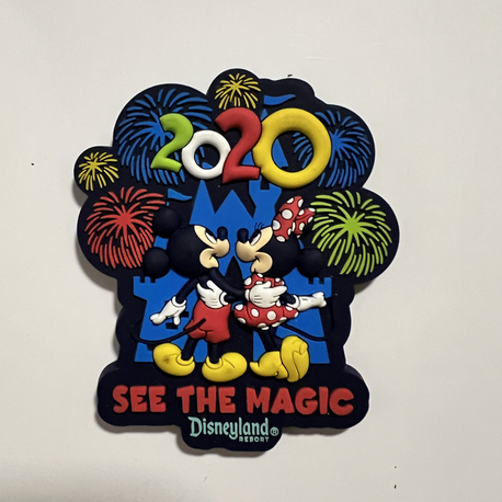 2020 Disney Magnet 