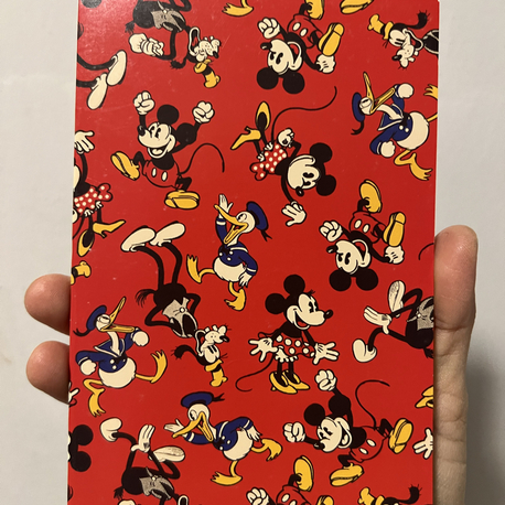Macys Disney Not Defteri