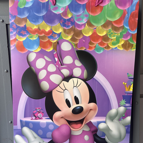 Minnie Mouse Hediye Poşeti