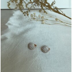 Özel seri zirkon taşlı küpe 