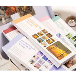 Pembe Temalı 30 Yaprak Sticker Albümü