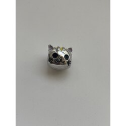 Kedi charm