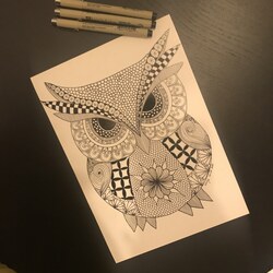 Baykuş Zentangle