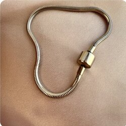 Unisex model Pandora bileklik 17 cm 