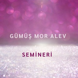 GÜMÜŞ MOR ALEV SEMİNERİ (videolu eğitim)