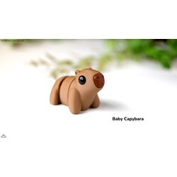 Baby Capybara