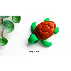 Baby turtle 