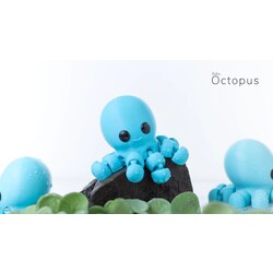 Baby octobus