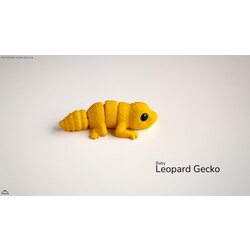 Baby Leopard Gecko